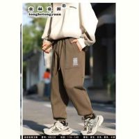 Купить Штаны спорт Delfinka 88220 brown на obuv-plus.com.ua