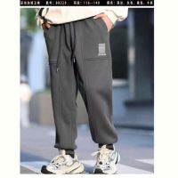 Купить Штаны спорт Delfinka 88220 grey на obuv-plus.com.ua
