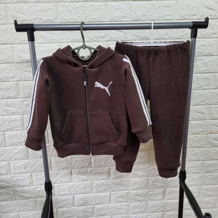 Купить Костюм спорт Proschenko PR642 brown на obuv-plus.com.ua