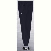 Купить Штаны спорт AZT AZ29 navy на obuv-plus.com.ua