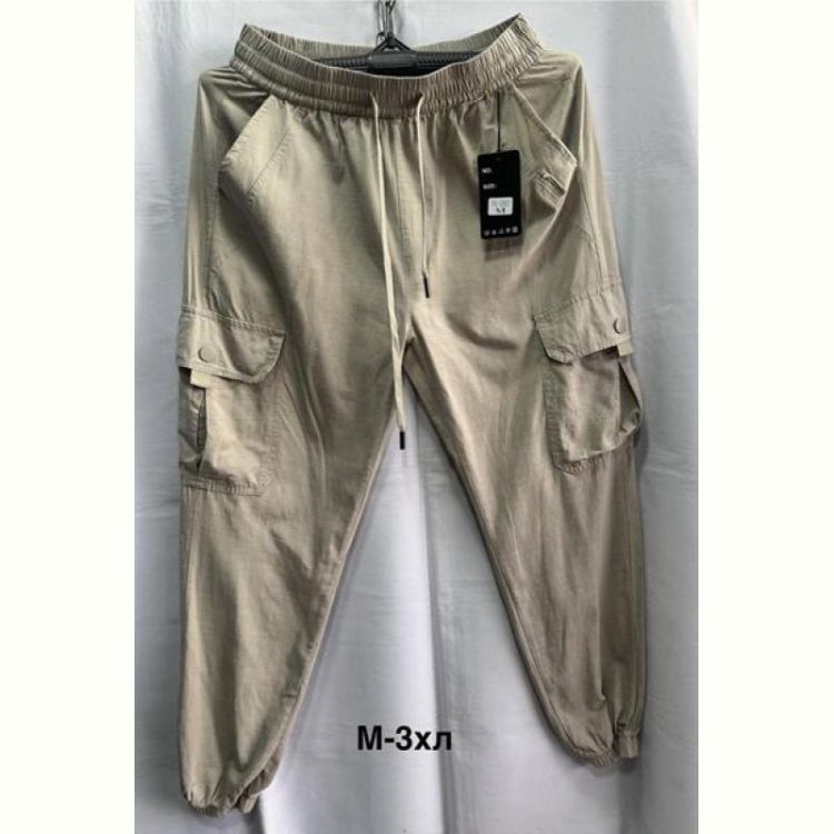 Купить Штаны спорт Minh 3002 beige на obuv-plus.com.ua