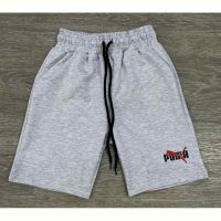 Купить Шорты MMZ M198 grey на obuv-plus.com.ua