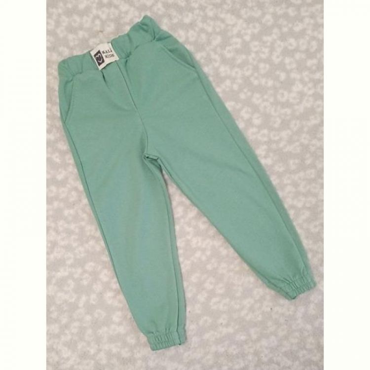 Купить Штаны спорт Malibu2 1428 mint на obuv-plus.com.ua