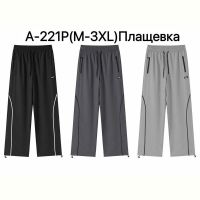 Купить Штаны спорт LiOpt A221P grey на obuv-plus.com.ua