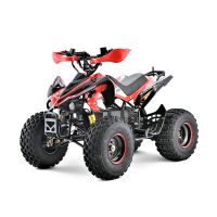 Купить Електричний квадроцикл для дорослих SN-EA62 ATV 48V 1000W з карданним валом на obuv-plus.com.ua