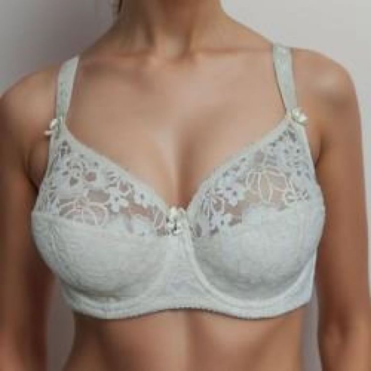 Купить Бюстгальтер Diorella 5098G l.grey на obuv-plus.com.ua