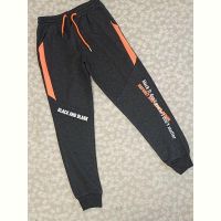 Купить Штаны спорт Malibu2 1043-1 grey на obuv-plus.com.ua