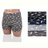 Купить Трусы Textile 7713 mix на obuv-plus.com.ua