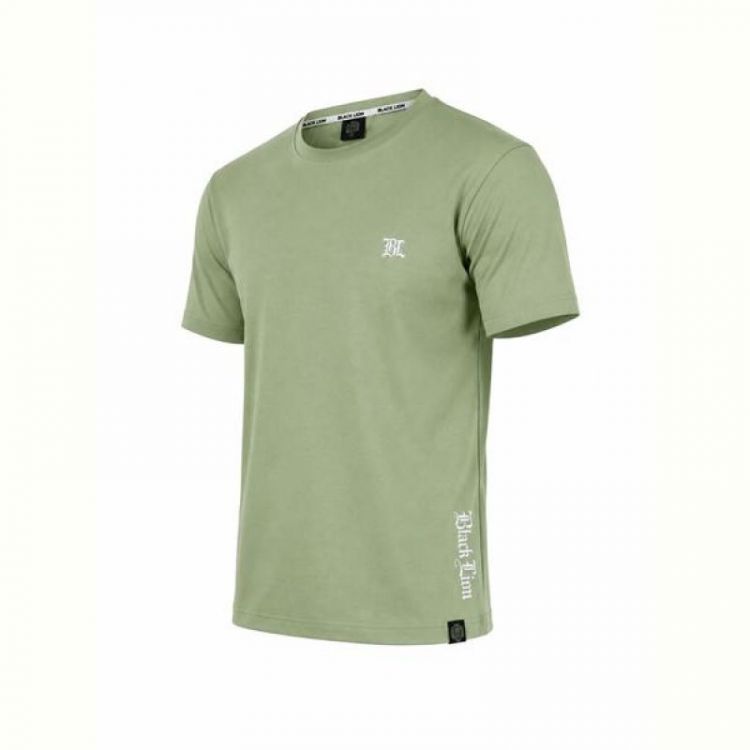 Купить Футболка Alex Clothes 14582 mint на obuv-plus.com.ua