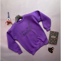 Купить Свитер Verton 164 purple на obuv-plus.com.ua