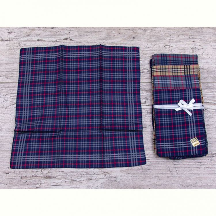 Купить Носовой платок Shawls ES014 mix на obuv-plus.com.ua
