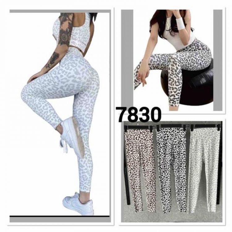Купить Лосины MMC clothes 7830 grey на obuv-plus.com.ua