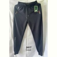 Купить Штаны спорт Minh 2417 navy на obuv-plus.com.ua