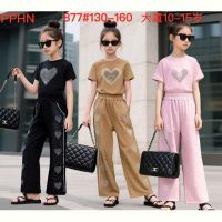 Купить Костюм спорт ChicWear 877 brown на obuv-plus.com.ua