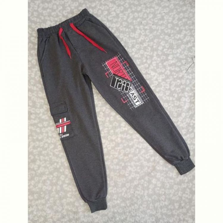 Купить Штаны спорт Malibu2 1028-25 grey на obuv-plus.com.ua