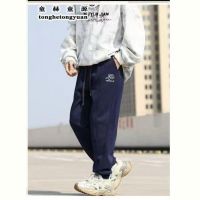 Купить Штаны спорт Delfinka 88120 navy на obuv-plus.com.ua