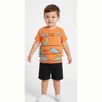 Купить Футболка Malibu2 5090-1 orange на obuv-plus.com.ua