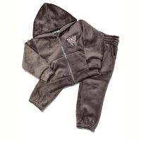 Купить Костюм спорт Safi 213 brown на obuv-plus.com.ua