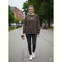 Купить Свитер Newe 54-1 brown на obuv-plus.com.ua