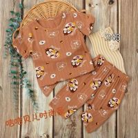 Купить Пижама Фунтик 243 brown на obuv-plus.com.ua
