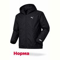 Купить Ветровка Alex Clothes 14152 black на obuv-plus.com.ua