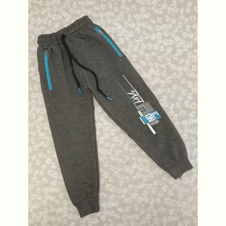 Купить Штаны спорт Malibu2 6769 grey на obuv-plus.com.ua