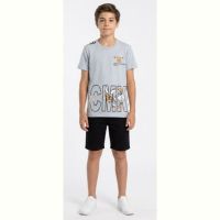 Купить Футболка Malibu2 110220 grey на obuv-plus.com.ua