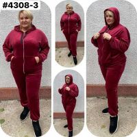 Купить Костюм спорт BAT 4308-3 wine на obuv-plus.com.ua