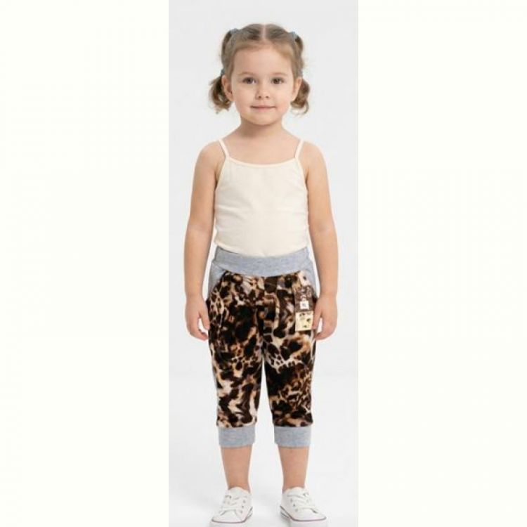 Купить Бриджи Malibu2 5 brown на obuv-plus.com.ua