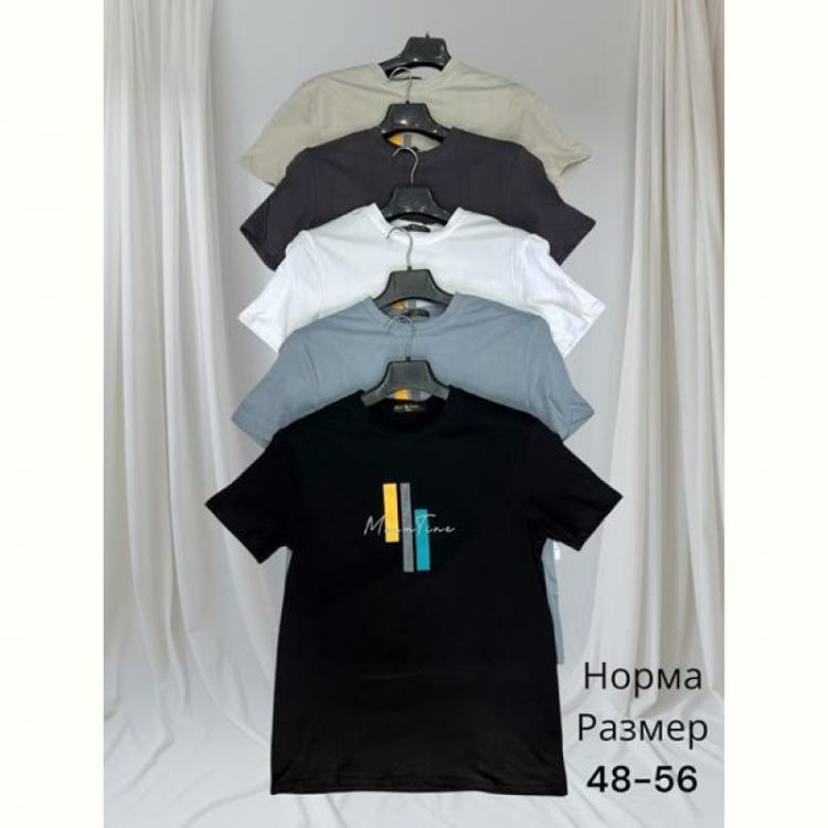 Купить Футболка Hai H1462 l.grey на obuv-plus.com.ua