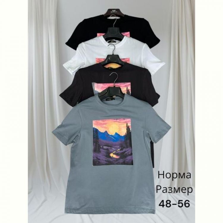 Купить Футболка Hai HH63 d.grey на obuv-plus.com.ua