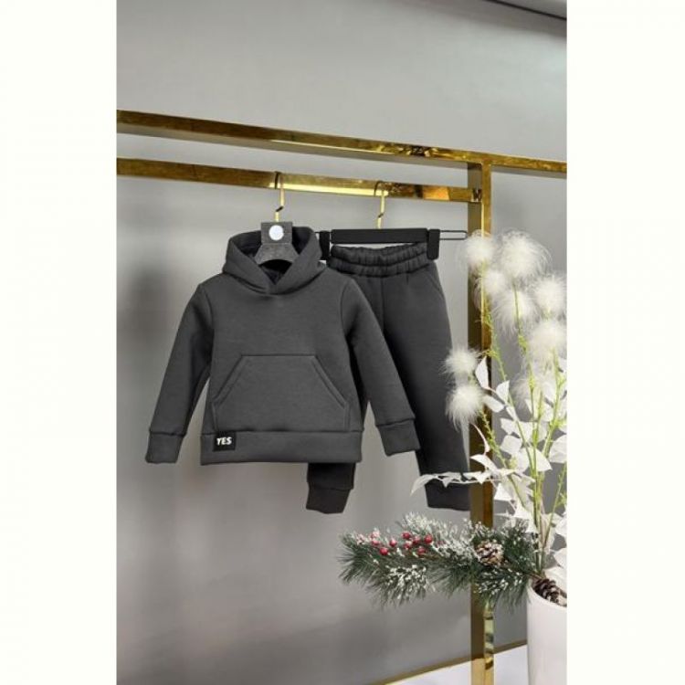 Купить Костюм спорт Delfinka 433-1 grey на obuv-plus.com.ua