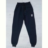 Купить Штаны спорт Malibu2 MA697 navy на obuv-plus.com.ua