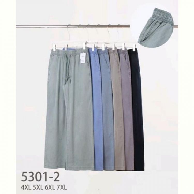 Купить Штаны Hoan 5301-2 mix на obuv-plus.com.ua