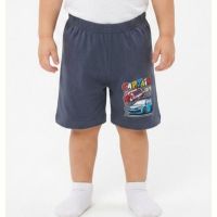 Купить Шорты Malibu2 560017 d.grey на obuv-plus.com.ua