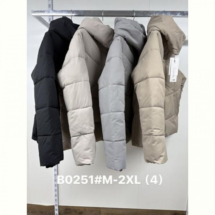 Купить Куртка Jacket B0251 grey на obuv-plus.com.ua