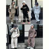 Купить Костюм спорт Delfinka 5024 l.grey на obuv-plus.com.ua