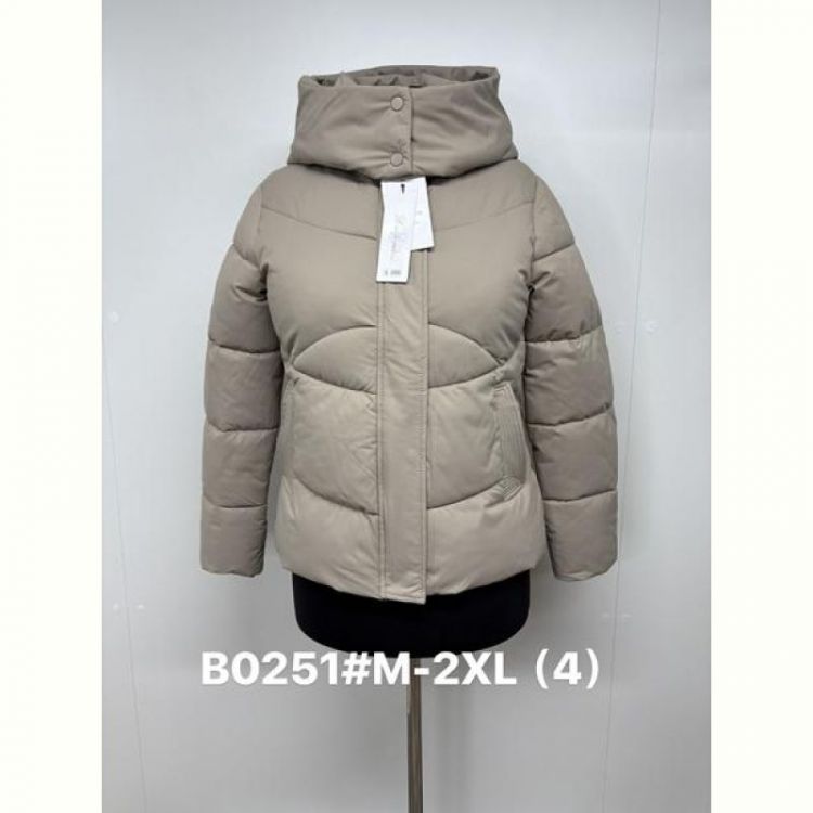 Купить Куртка Jacket B0251 beige на obuv-plus.com.ua