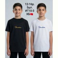 Купить Футболка AMZ T10-3 white на obuv-plus.com.ua