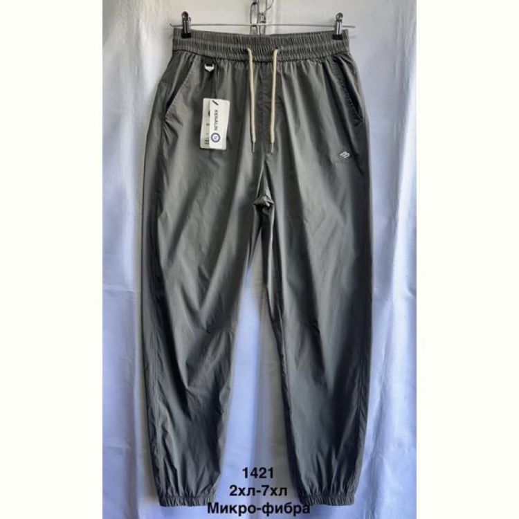 Купить Штаны спорт Minh 1421 grey на obuv-plus.com.ua