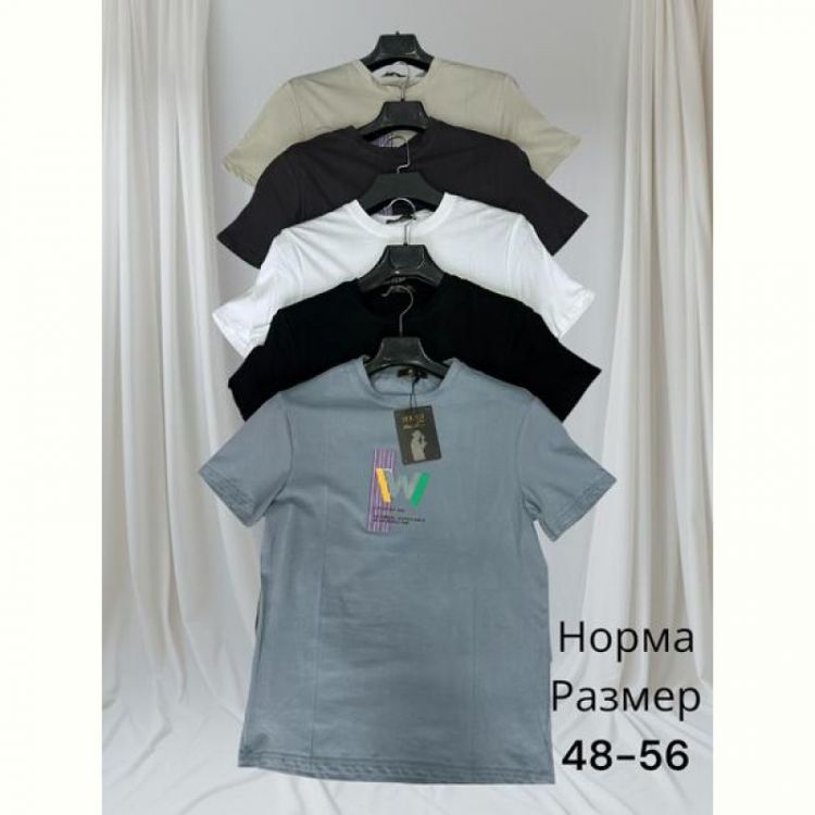 Купить Футболка Hai HH72 d.grey на obuv-plus.com.ua