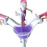 Купить RB20G-1 ВЕЛОСИПЕД ДИТЯЧИЙ ROYAl BABY STARGIRL ФІОЛЕТОВИЙ 20 ДЮЙМІВ, БЕЗ БОКОВИХ КОЛІС на obuv-plus.com.ua