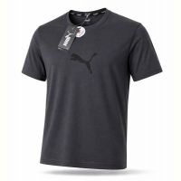 Купить Футболка Alex Clothes 14178 d.grey на obuv-plus.com.ua