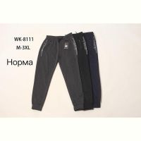 Купить Штаны спорт Hoan WK8111 grey на obuv-plus.com.ua
