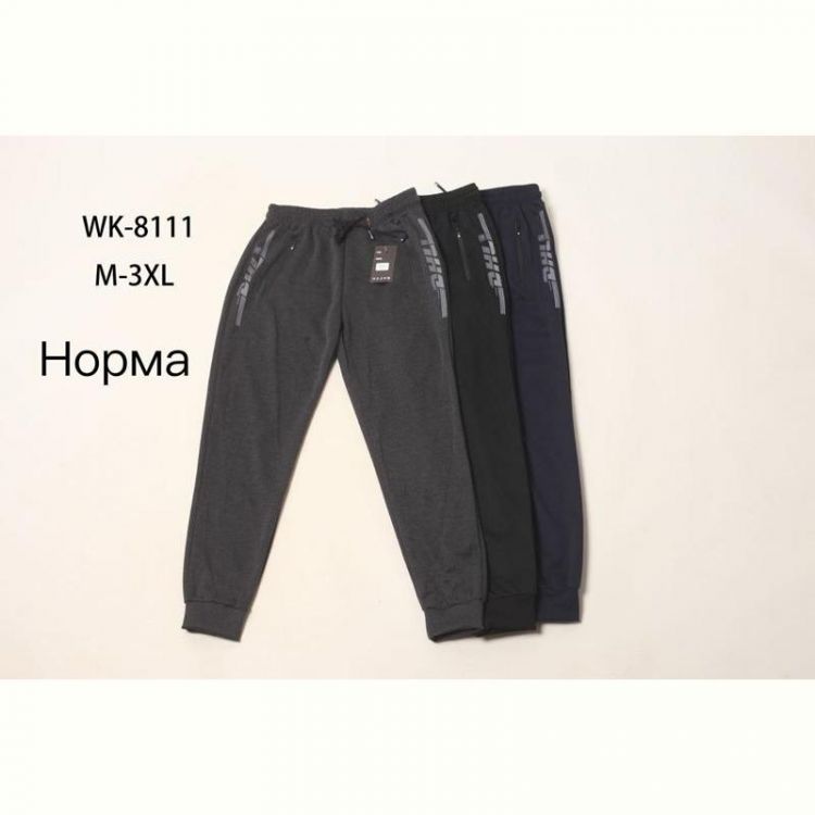 Купить Штаны спорт Hoan WK8111 grey на obuv-plus.com.ua