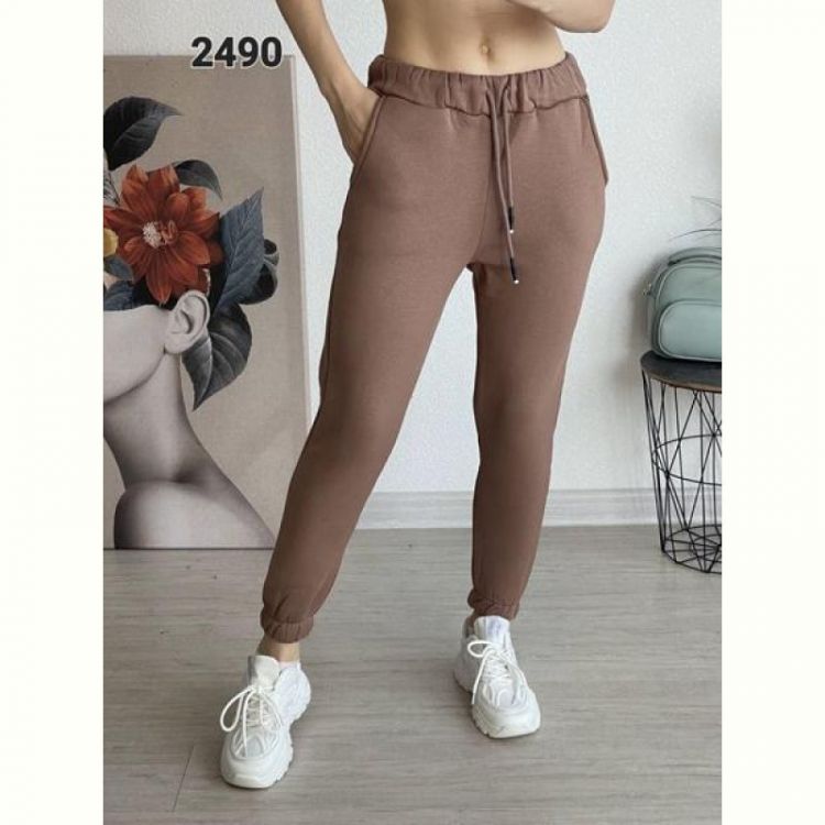 Купить Штаны спорт FSN 2490 brown на obuv-plus.com.ua
