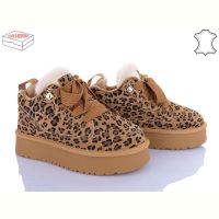 Купить Угги Violeta M6131-10 на obuv-plus.com.ua
