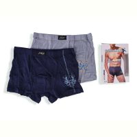 Купить Трусы Textile 8008 mix XL-3XL на obuv-plus.com.ua