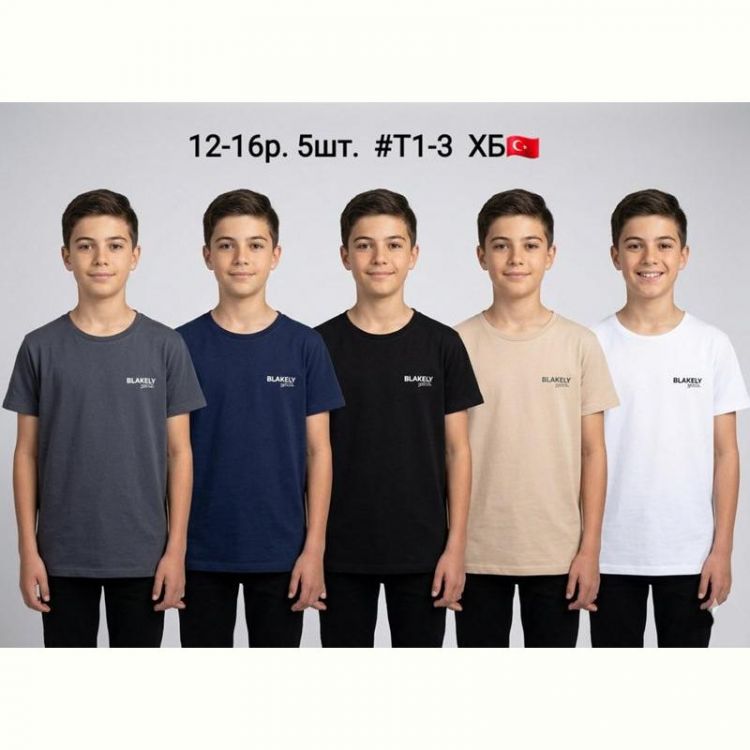 Купить Футболка AMZ T1-3 beige на obuv-plus.com.ua