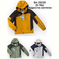 Купить Ветровка TRAN BA25029 green на obuv-plus.com.ua
